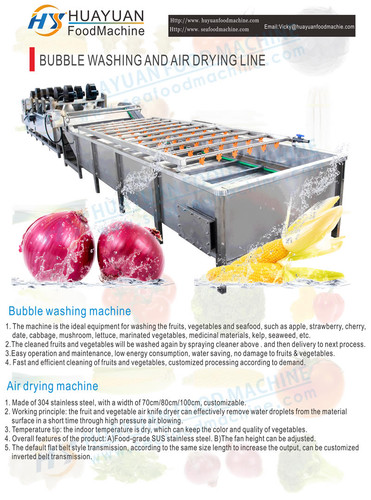 Vegetable bubble cleaning machine, vegetable and fruit cleaning machine 100kg per hour