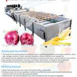 Vegetable bubble cleaning machine, vegetable and fruit cleaning machine 100kg per hour