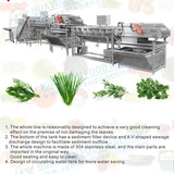 Vegetable cleaning line, vegetable diced cleaning machine eddy current cycle cleaning machine