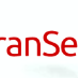 Gran Services banner