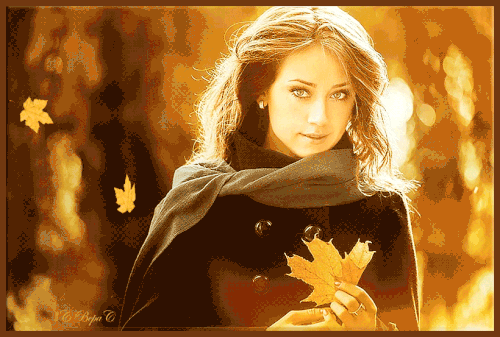 500x337 opadaja liscie.gif