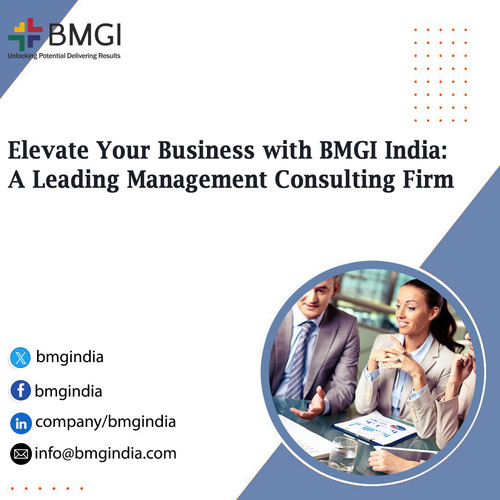Elevate Your Business with BMGI India: A Leading Management Consulting Firm.jpg