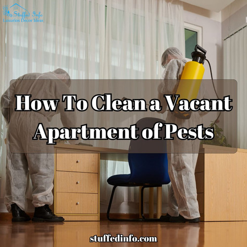 How To Clean a Vacant Apartment of Pests.jpg