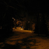 IMG 0018 1b