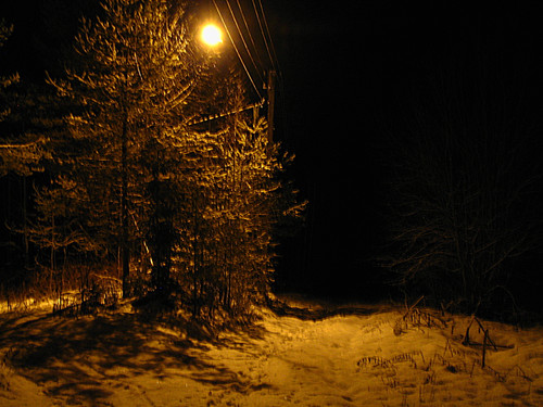 IMG 0016 1.jpg