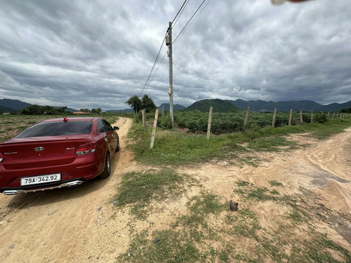 457056138 3956946877869571 6405718945639969498 n.jpg