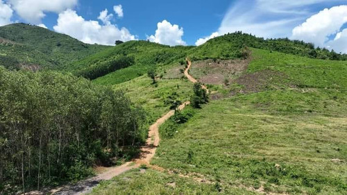 465745206 1746549746080878 1739065103423075603 n.jpg