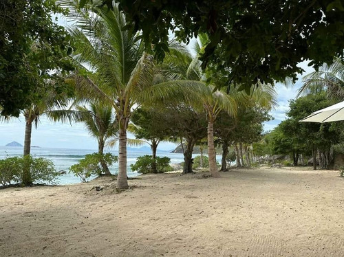 466588315 1608824973323479 4699588138871451323 n.jpg