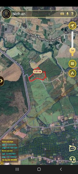 466126275 1751708085565044 8967398019186529798 n.jpg