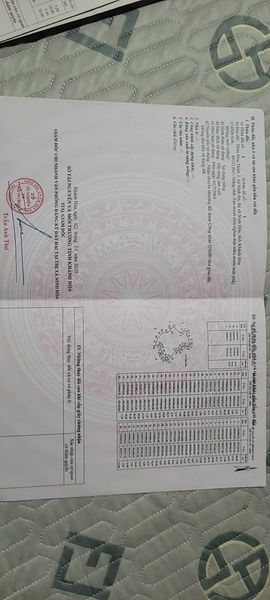 466166605 1751708155565037 2642730941859874865 n.jpg