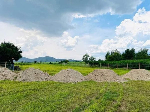 465787753 1745725282829991 3687995350763195943 n.jpg