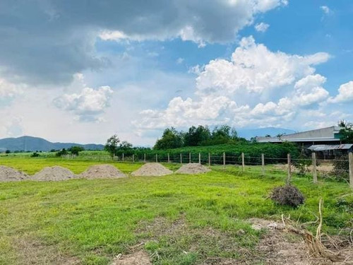 465862974 1745725029496683 6161206594676544867 n.jpg