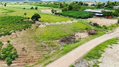 465745101 1745725216163331 4957078848749473628 n.jpg