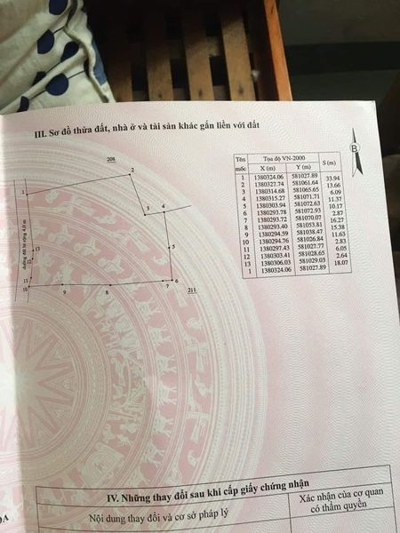 456487842 3692000297683339 4505637632858025160 n.jpg