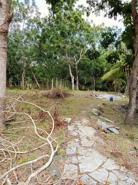 466505770 1751666645569188 6403698562042803941 n.jpg