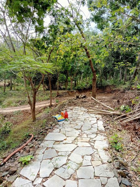 466974002 1751666498902536 6970555748087024191 n.jpg