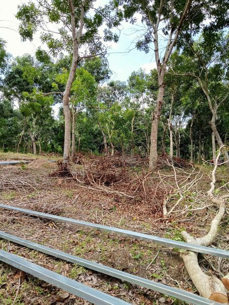 466676840 1751667045569148 8001970672155302534 n.jpg