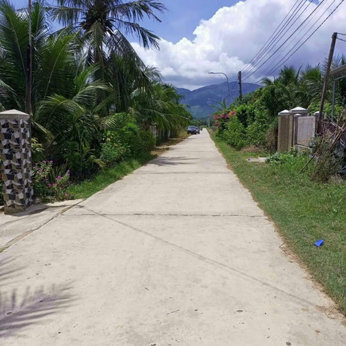 465791825 1749830355752817 758011015365228592 n.jpg