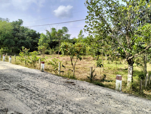 465982819 1749830512419468 5018183775596927167 n.jpg