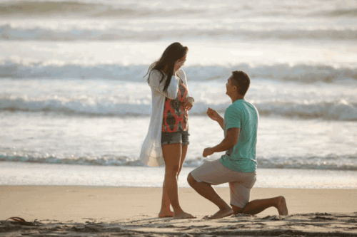 Capture Love Miami Engagement Photography & More.gif