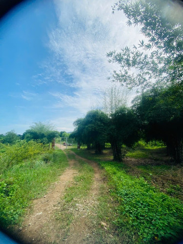 465674622 1747372165998636 1404631681969681426 n.jpg