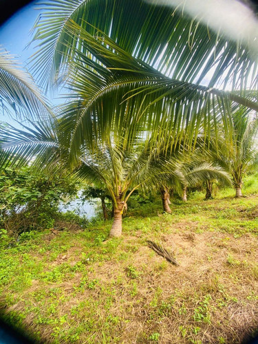 465706295 1747372679331918 202926041442502516 n.jpg