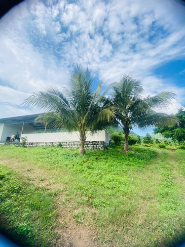 465695977 1747371969331989 7051102207047339525 n.jpg