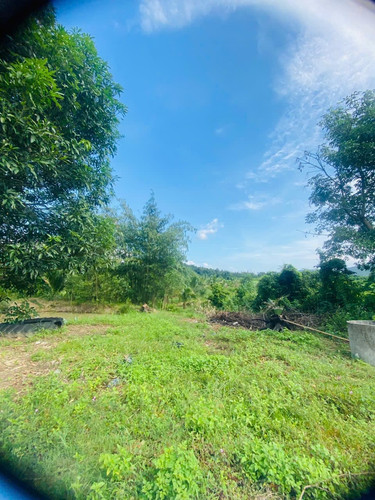 465863751 1747372512665268 1728833490038927473 n.jpg