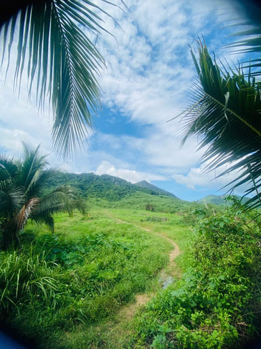 465740729 1747372749331911 8264914330199536245 n.jpg