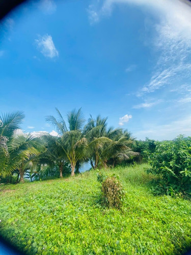 465705629 1747372915998561 2133304629933225186 n.jpg