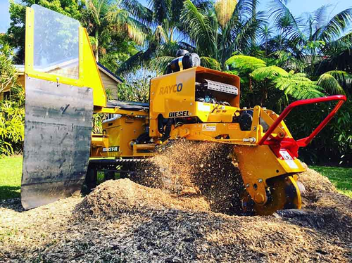 Reliable Stump Grinding Services in Sydney.png