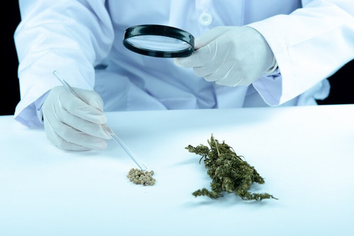 Medical Cannabis Doctor and Evaluation Centers.jpg