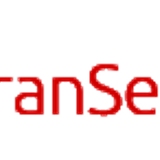 Gran Services banner semFundo