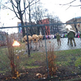 P 20241120 103006 BF