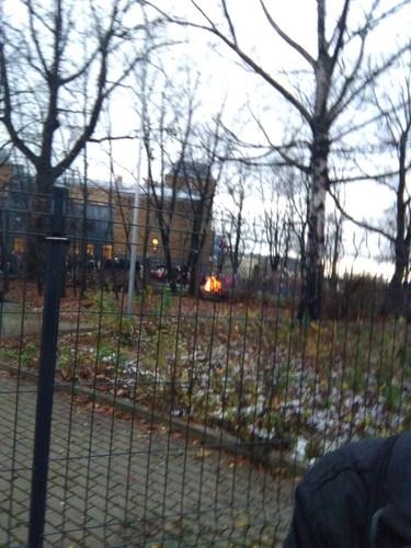 P 20241120 102757 BF