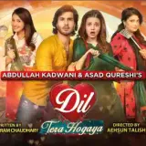 9 dil tera ho gaya card