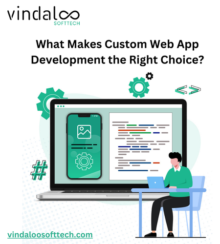 What Makes Custom Web App Development the Right Choice?.png