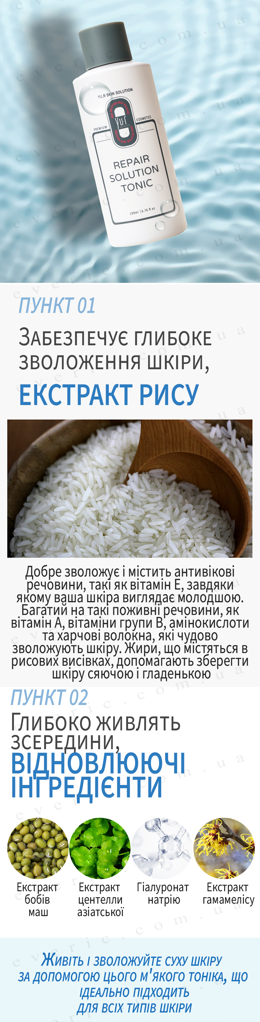 2 копия