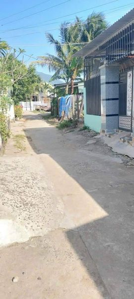 467360347 932959865429544 6143268903190609209 n.jpg