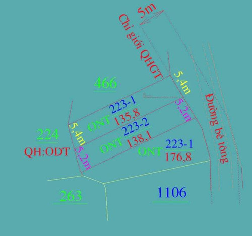 467428101 8693875614033162 8534638394063478466 n.jpg