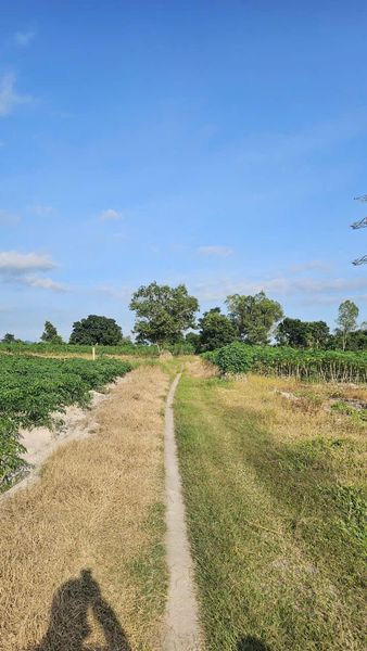 467329798 4139245553025335 946653137644755258 n.jpg