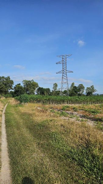 467496030 4139245463025344 2233483742916515249 n.jpg