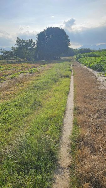 467322750 4139245506358673 776767911758283683 n.jpg