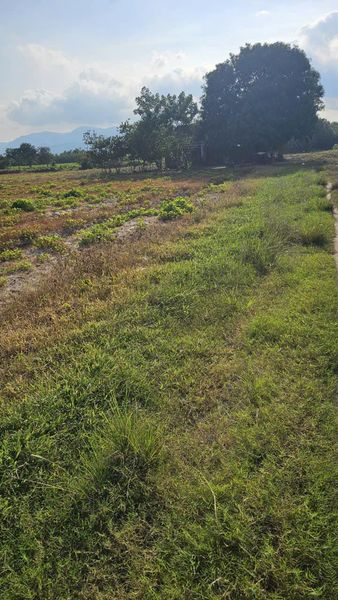 467401432 4139245489692008 3502420647543402421 n.jpg