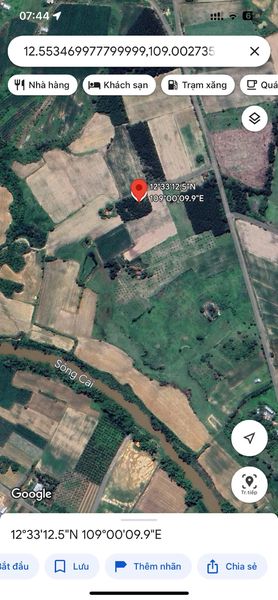 467525075 1911017352698378 1706896346713086133 n.jpg