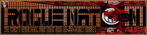 AE35 Banner.jpg