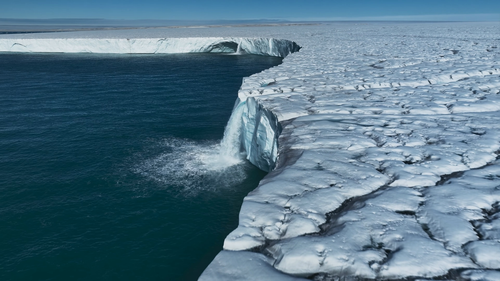 Planet.Earth.S03E01.2006.2160p.WEB DL.H265.AAC HHWEB.mp4 20241120 130328.904.png