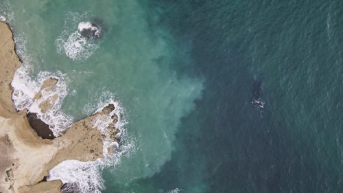 Planet.Earth.S03E01.2006.2160p.WEB DL.H265.AAC HHWEB.mp4 20241120 130331.831.png