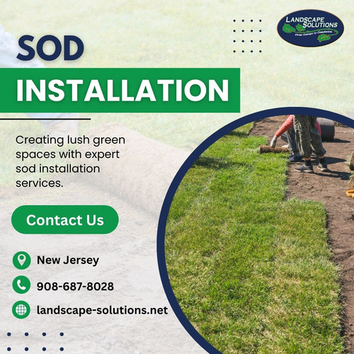 Sod Installation in NJ.jpg