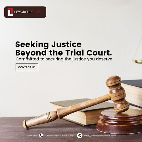 Experienced Appeal Lawyers for Federal and Habeas Corpus Cases in Illinois & Michigan.jpg